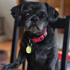 Meet your Posher, Beth